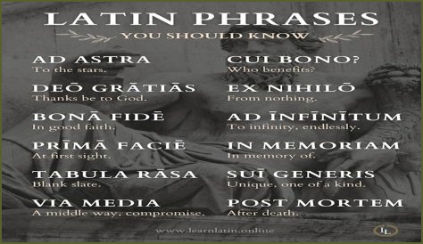 A Profile Of A Latin Beauty