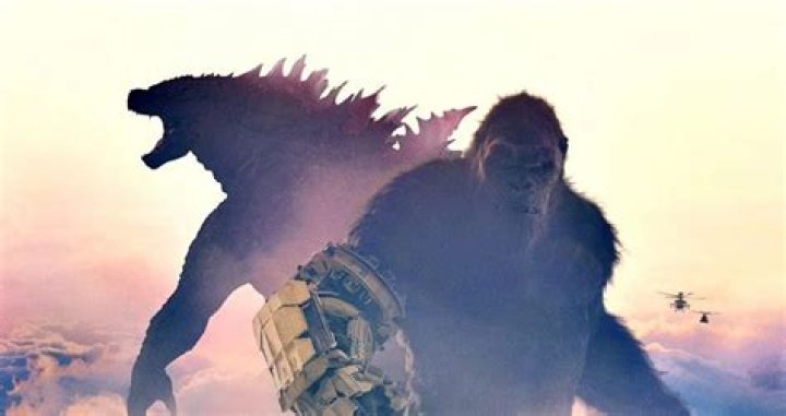 Did zilla or kong win?
