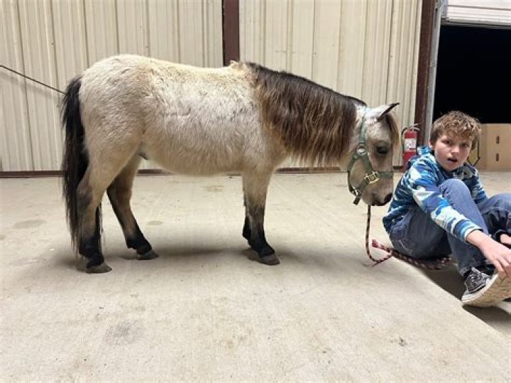 Does saddled mean burdened?