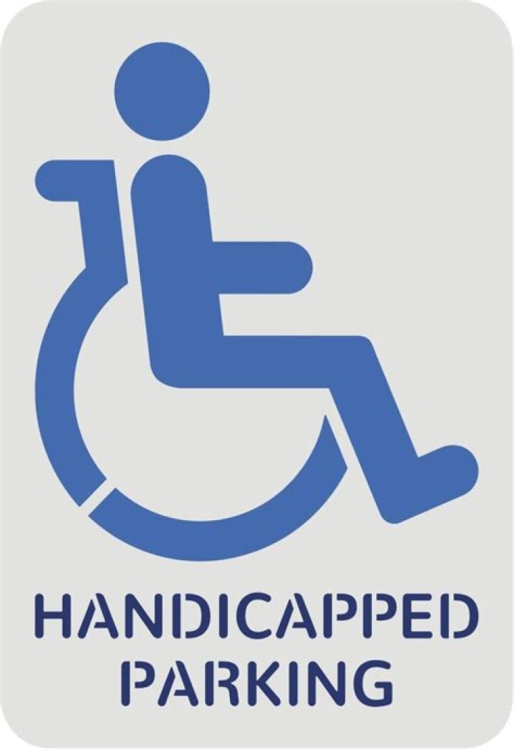 Whats a handicapped person?