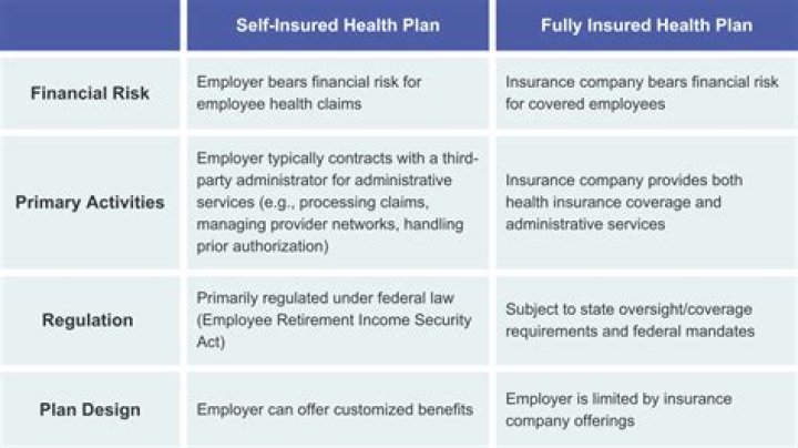 Who regulates self insured health plans?